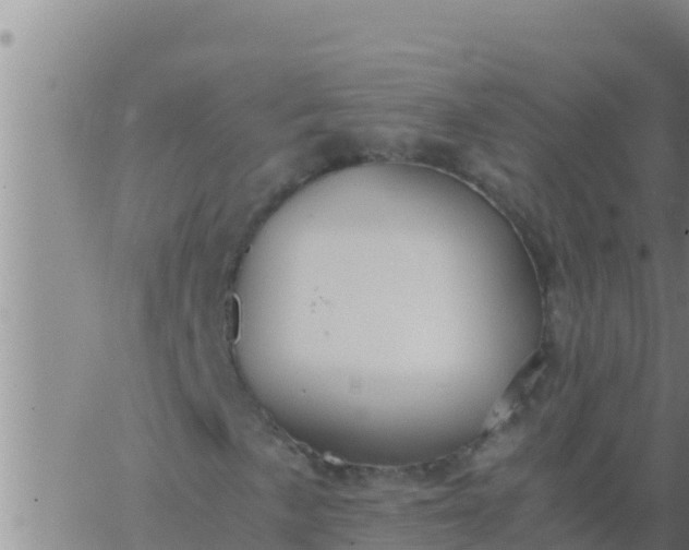 X0000062831057200601271945