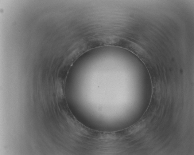 X0000062831058200601271945