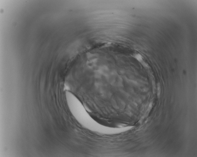 X0000062831059200601271945