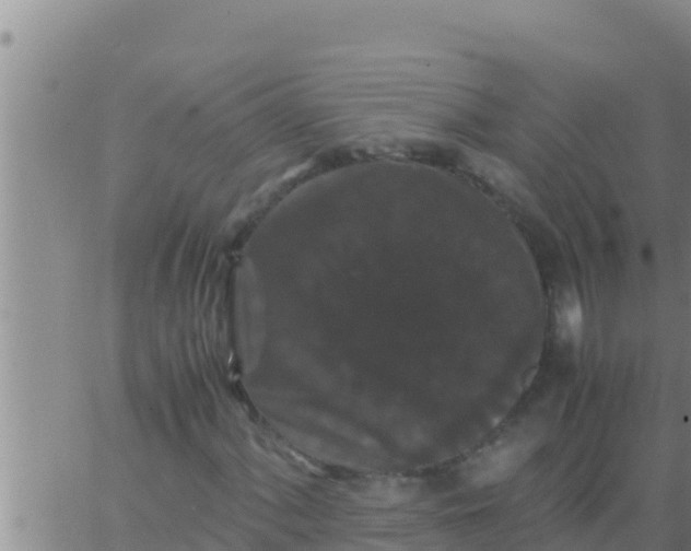 X0000062831060200601271945