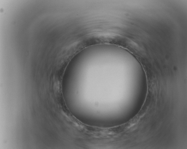 X0000062831061200601271945