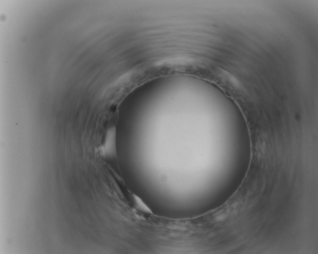 X0000062831062200601271945