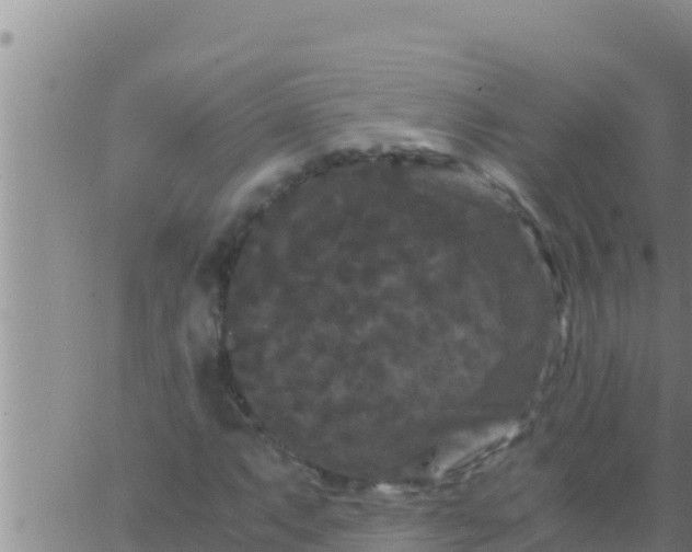 X0000062831063200601271945