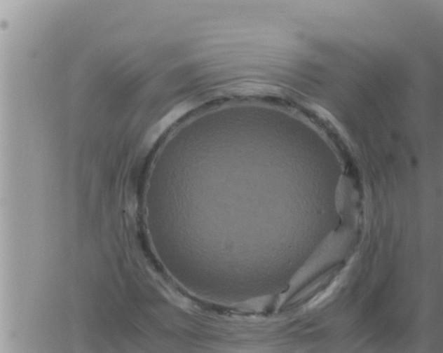 X0000062831065200601271945