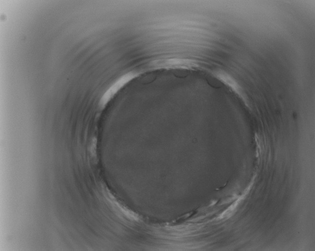 X0000062831066200601271945