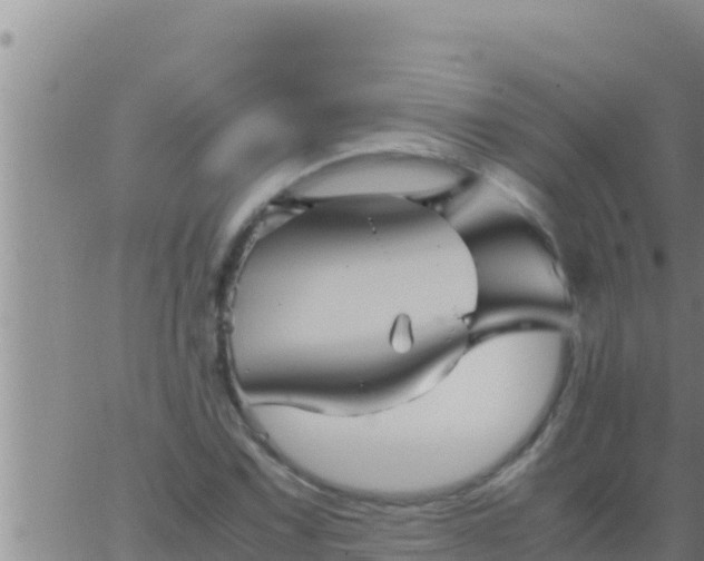 X0000062831067200601271945