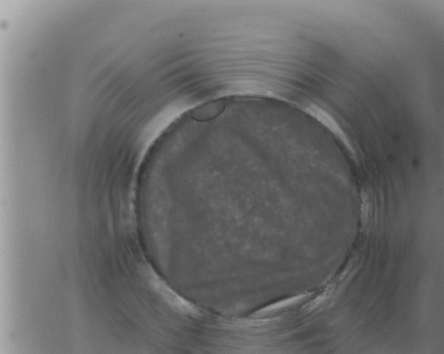 X0000062831068200601271945