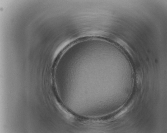 X0000062831069200601271945