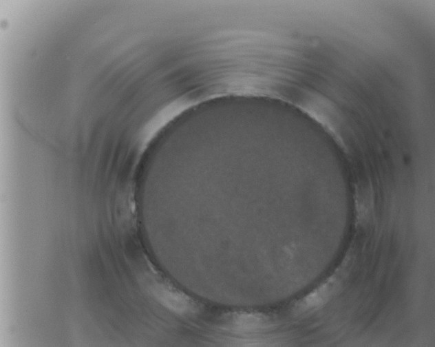 X0000062831070200601271945