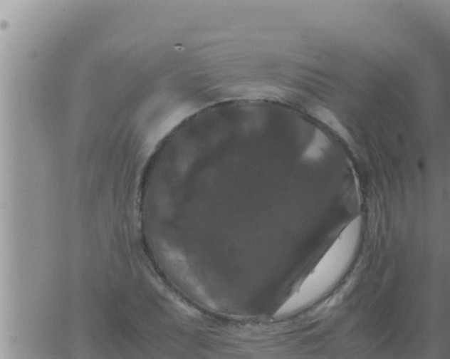 X0000062831071200601271945