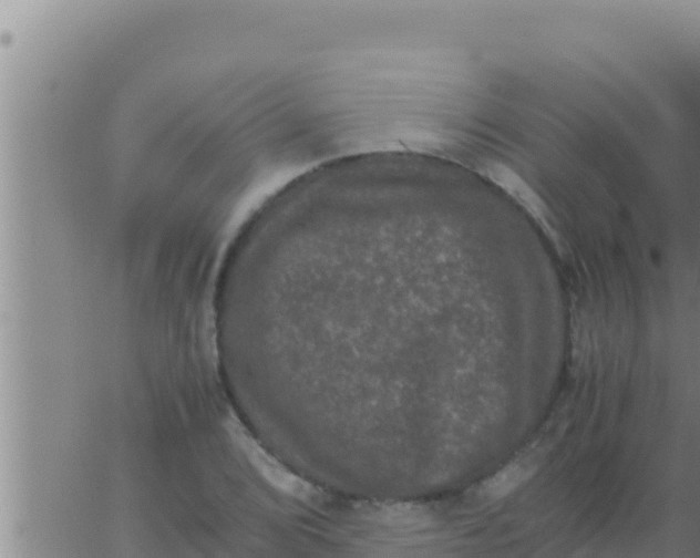 X0000062831072200601271945