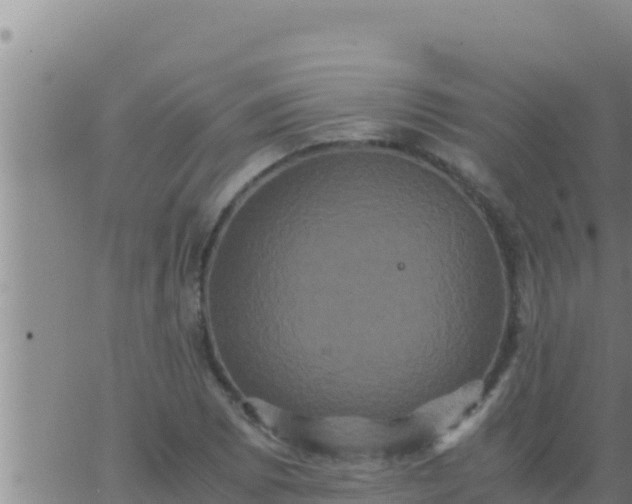 X0000062831073200601271945