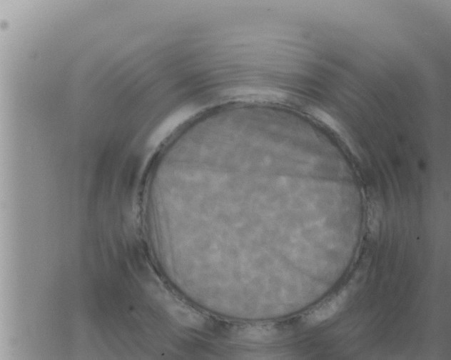 X0000062831074200601271945