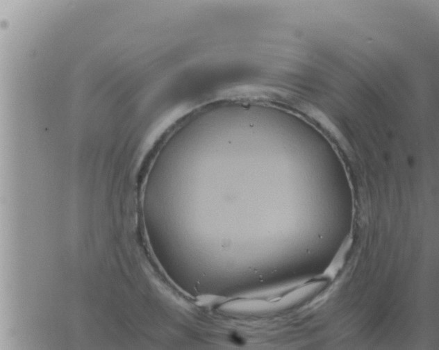 X0000062831075200601271945