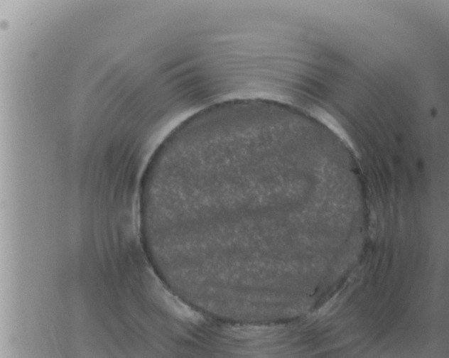 X0000062831076200601271945