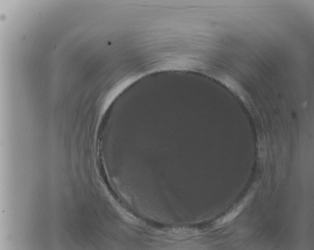 X0000062831077200601271945