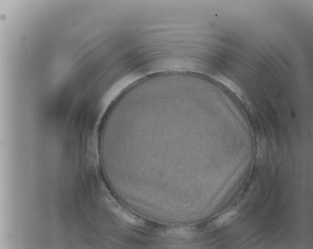 X0000062831078200601271945