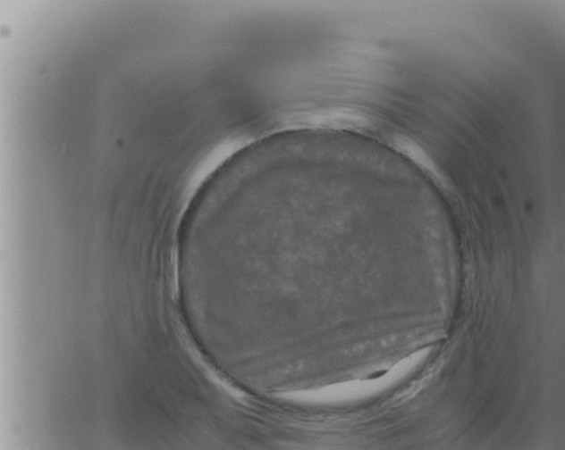 X0000062831079200601271945