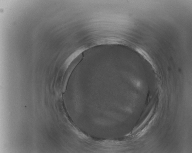 X0000062831081200601271945