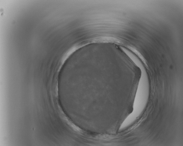 X0000062831083200601271945