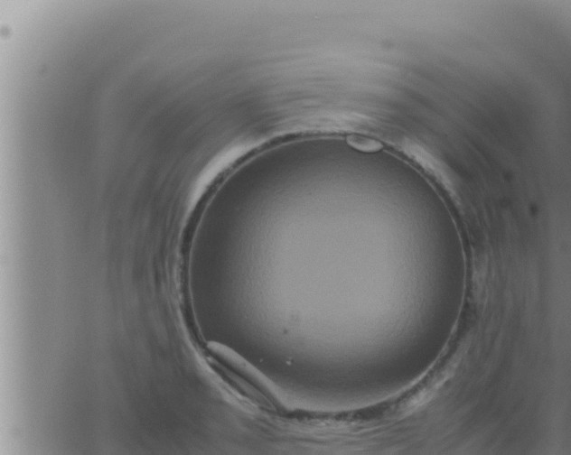 X0000062831085200601271945