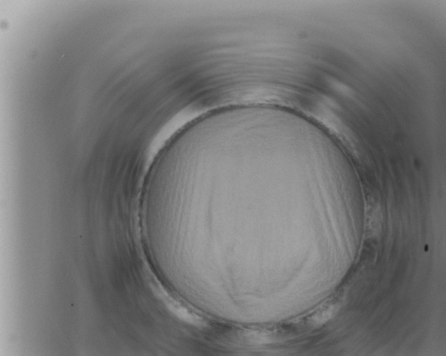 X0000062831086200601271945