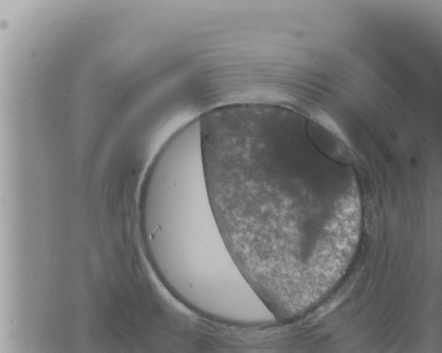 X0000062831087200601271945