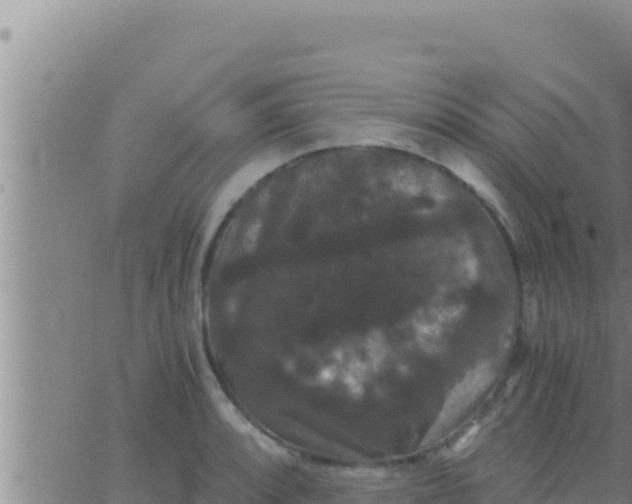 X0000062831088200601271945