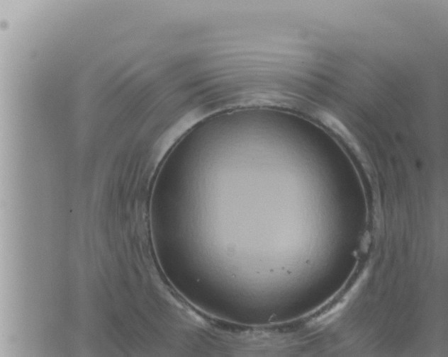 X0000062831089200601271945