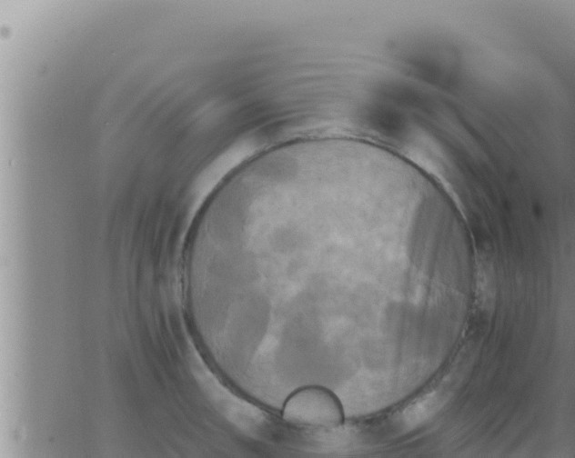 X0000062831090200601271945