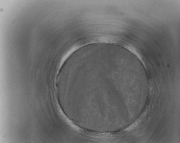 X0000062831091200601271945