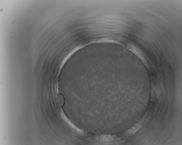 X0000062831092200601271945