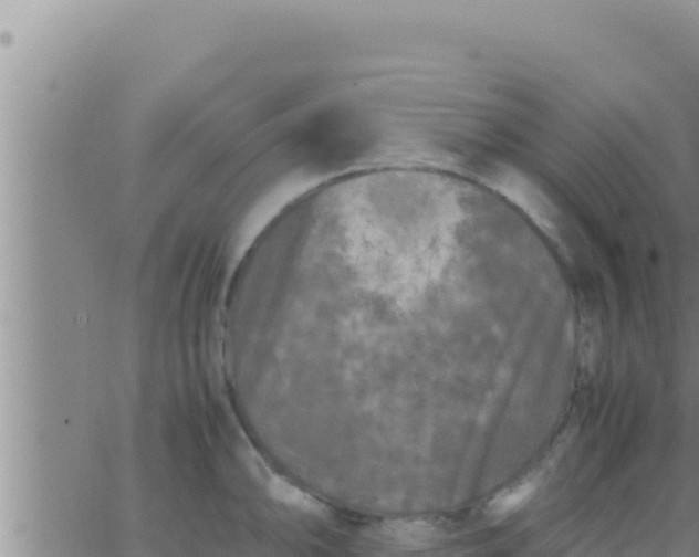 X0000062831094200601271945