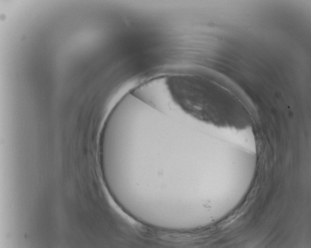 X0000062831095200601271945