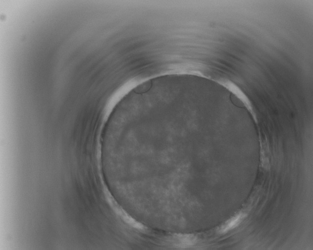 X0000062831096200601271945