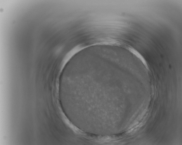 X0000062831099200601271945