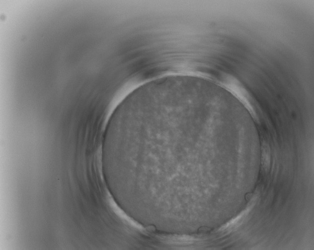 X0000062831100200601271945