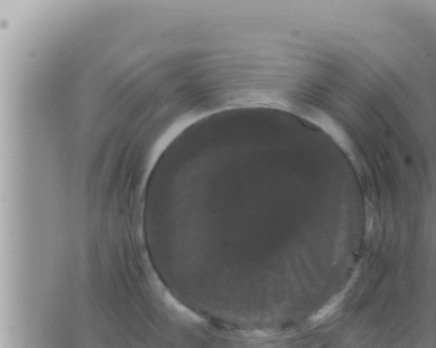 X0000062831102200601271945