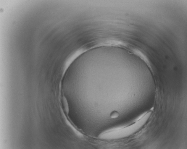 X0000062831103200601271945