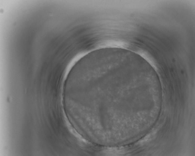 X0000062831104200601271945