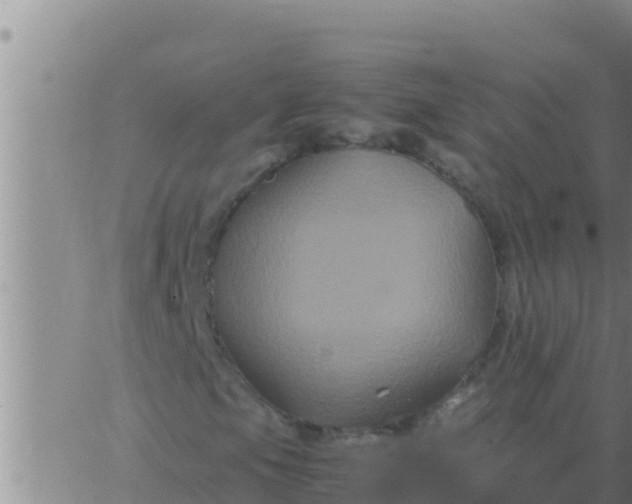 X0000062831105200601271944