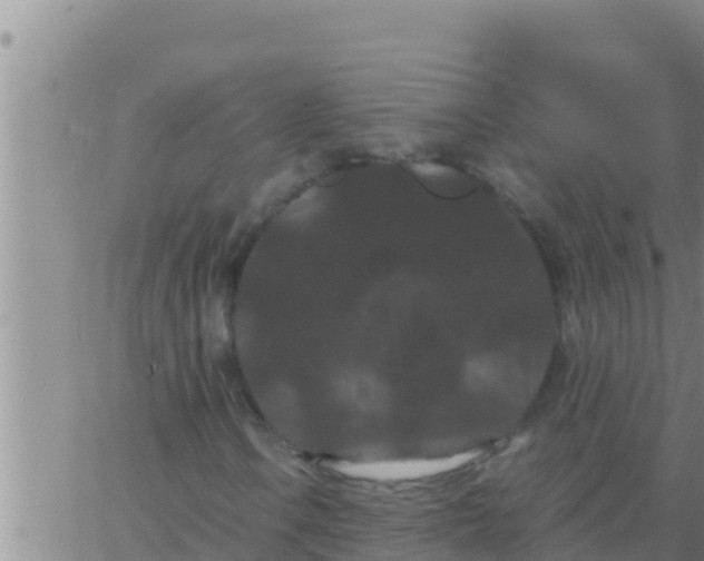 X0000062831106200601271944