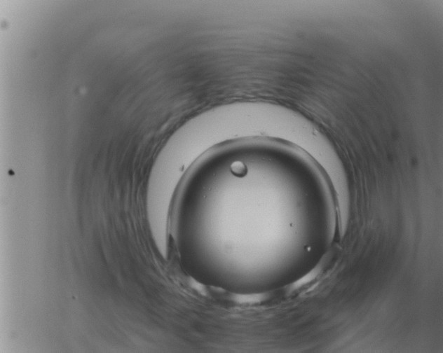 X0000062831107200601271944