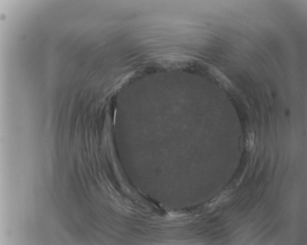 X0000062831108200601271944