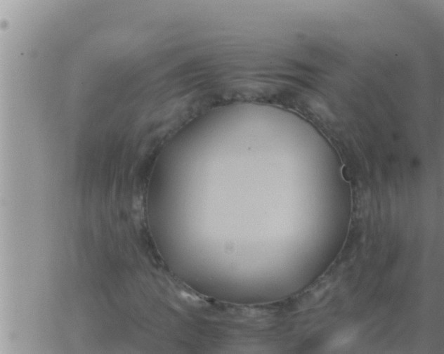 X0000062831109200601271944