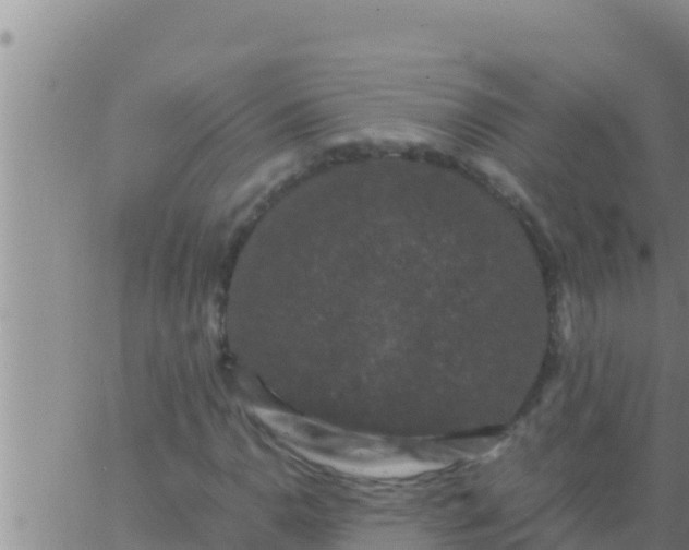 X0000062831110200601271944