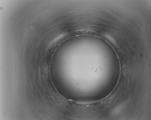 X0000062831111200601271944