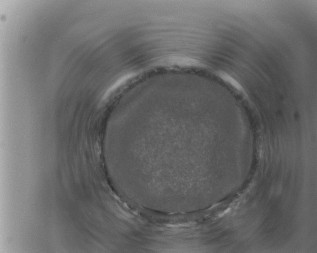 X0000062831112200601271944