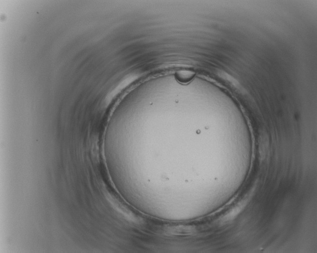 X0000062831113200601271944