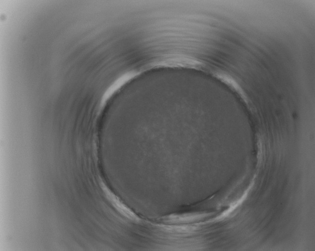 X0000062831114200601271944